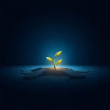 Securitize Goes Dual: NYSE Trading & Tokenized Shares on Solana, Avalanche